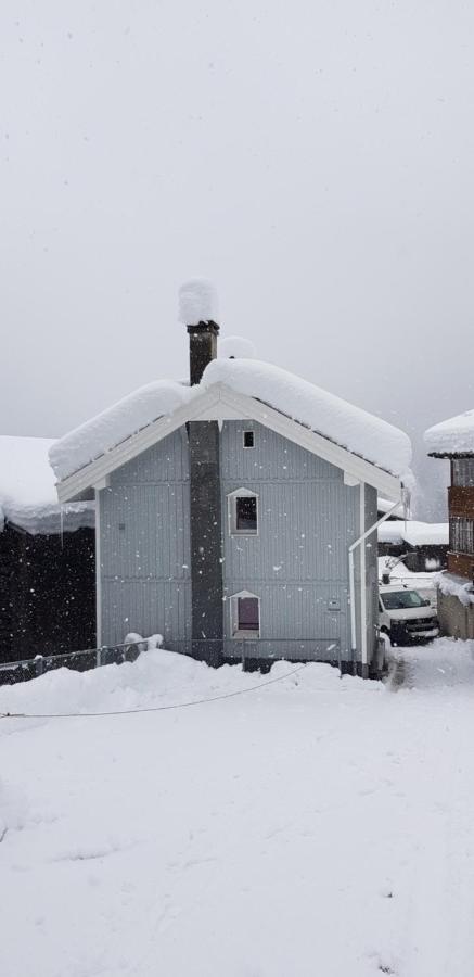 Casa Cuschina - Mit Sauna In Der Schoenen Surselva Dardin Екстериор снимка