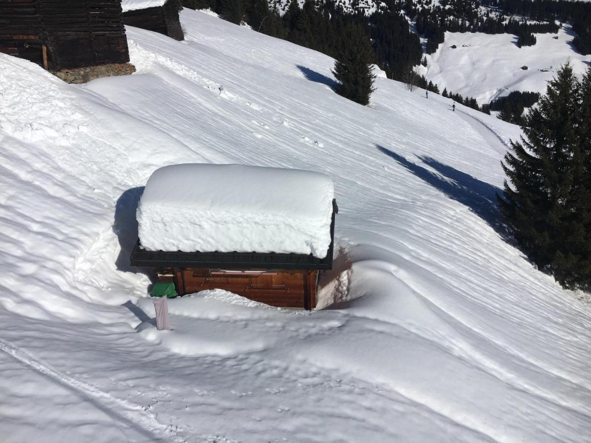 Casa Cuschina - Mit Sauna In Der Schoenen Surselva Dardin Екстериор снимка